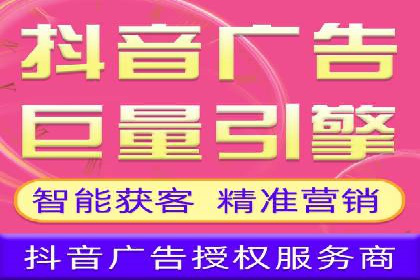 抖音信息流广告在电商行业的应用案例